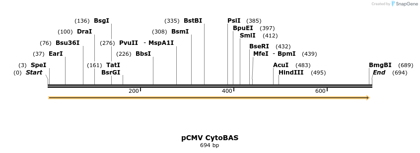 109309_map