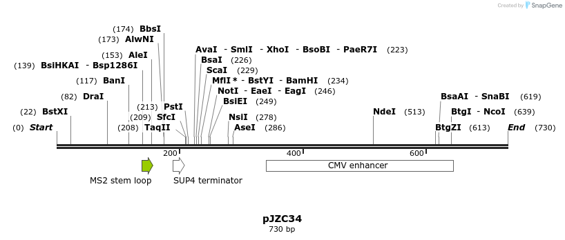 109312_map