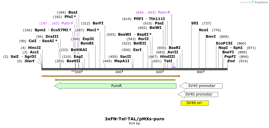 109313_map