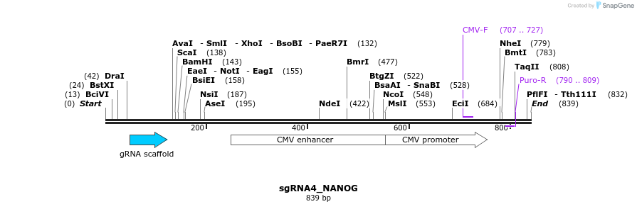 109317_map