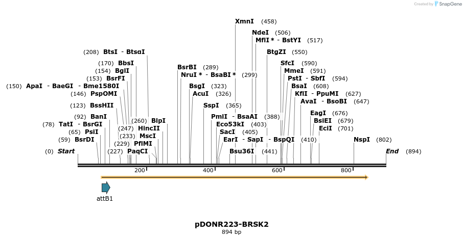 10932_map