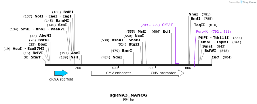 109321_map