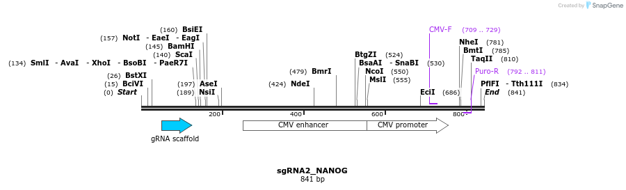 109323_map
