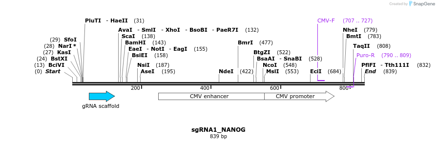 109325_map