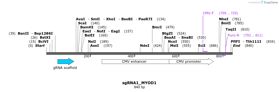109327_map