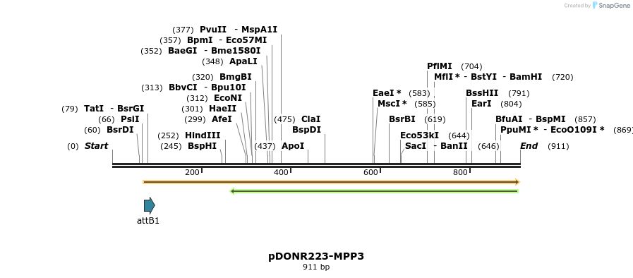 10933_map