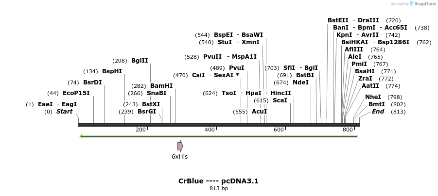 109347_map