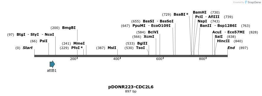 10935_map