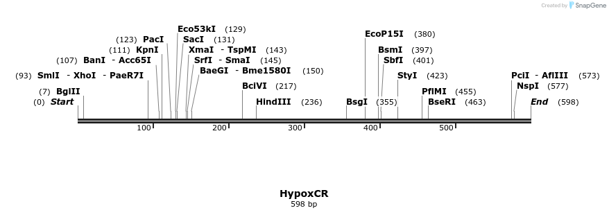 109350_map