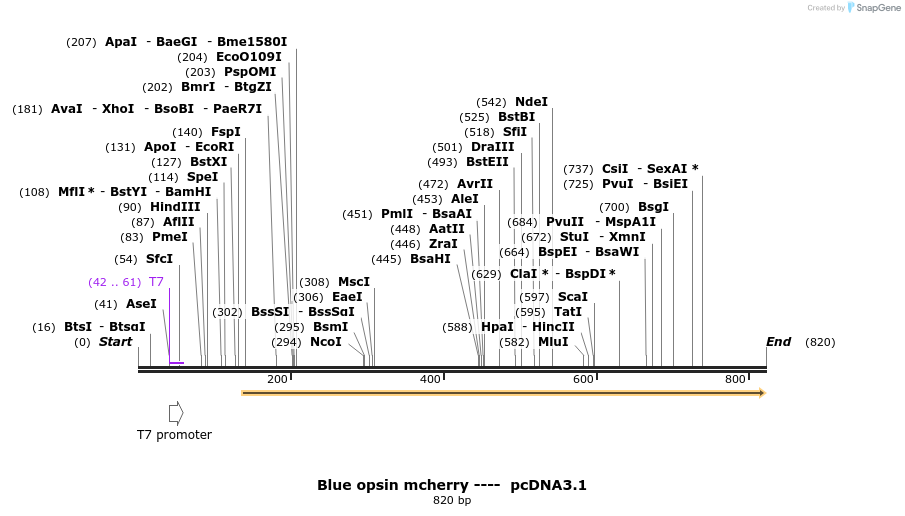 109354_map