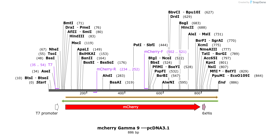 109359_map