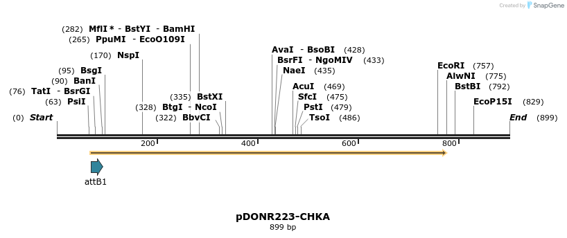 10936_map