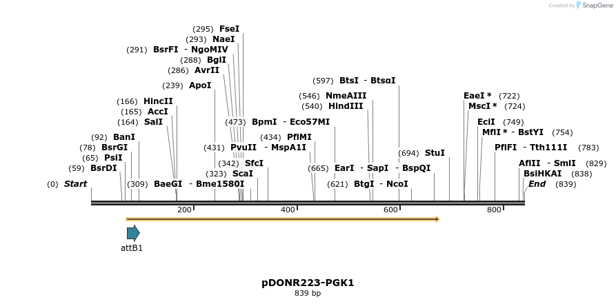 10937_map