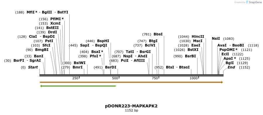10938_map