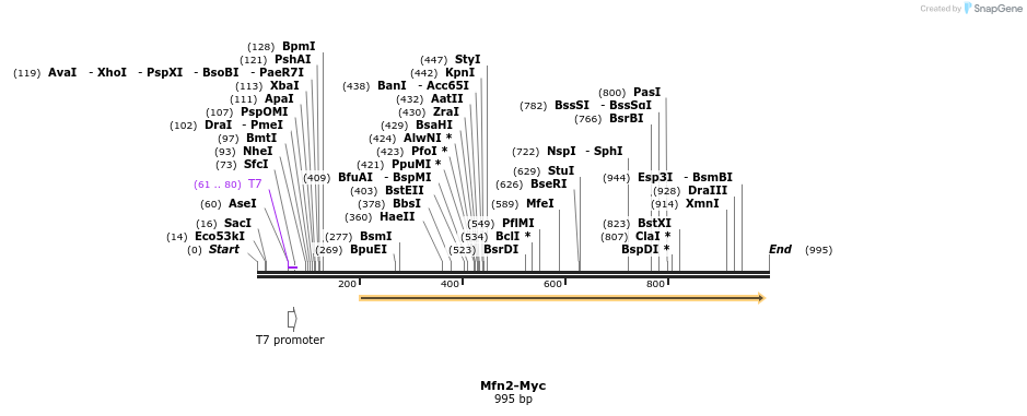 109385_map
