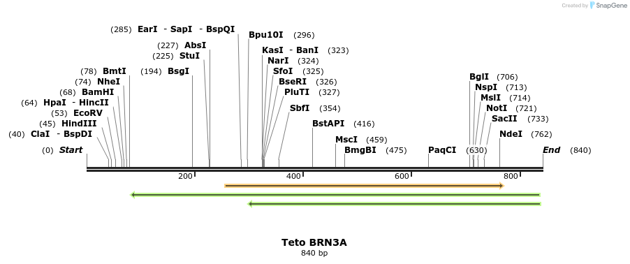 109399_map