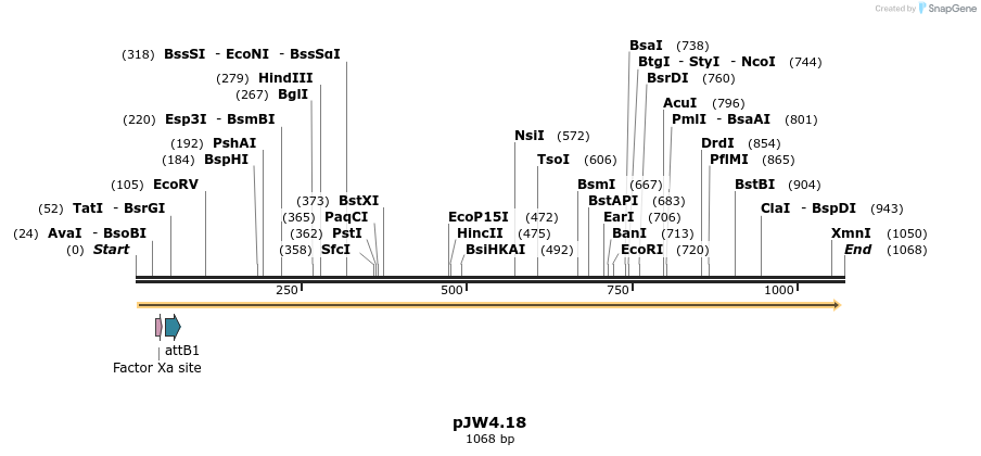 109410_map