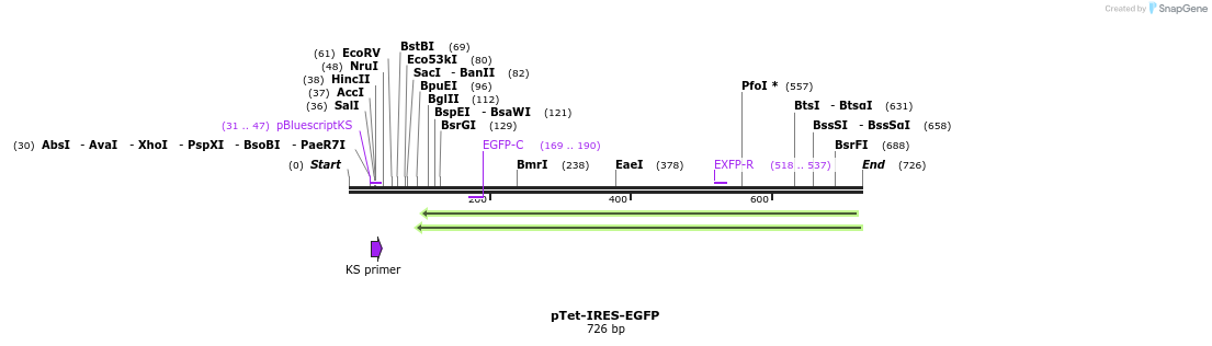 109413_map