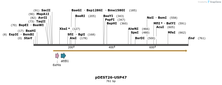 109416_map