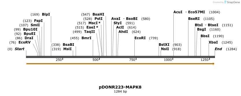 10942_map