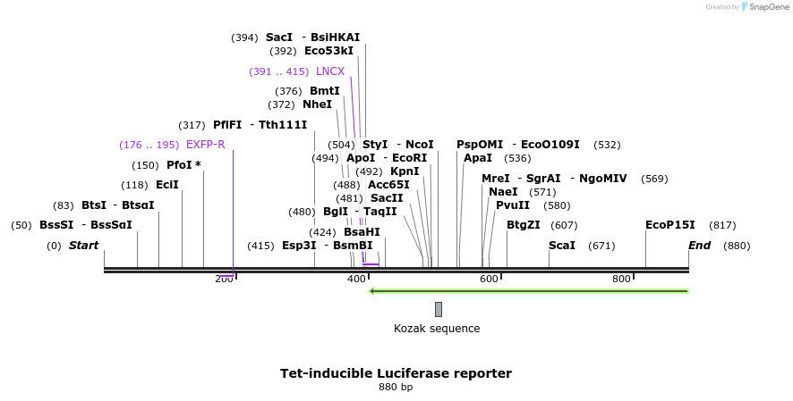 109424_map