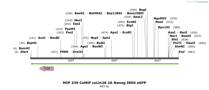 109426_map