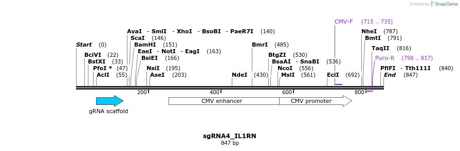 109427_map