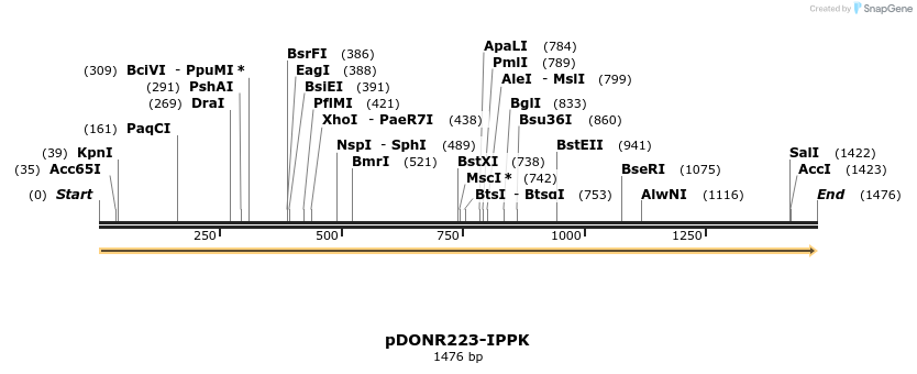 10943_map
