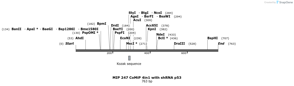 109430_map