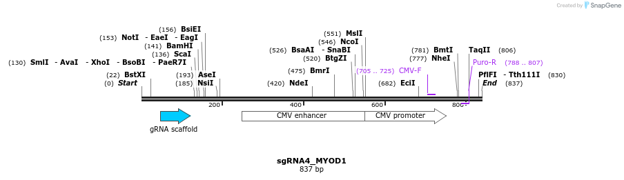 109431_map