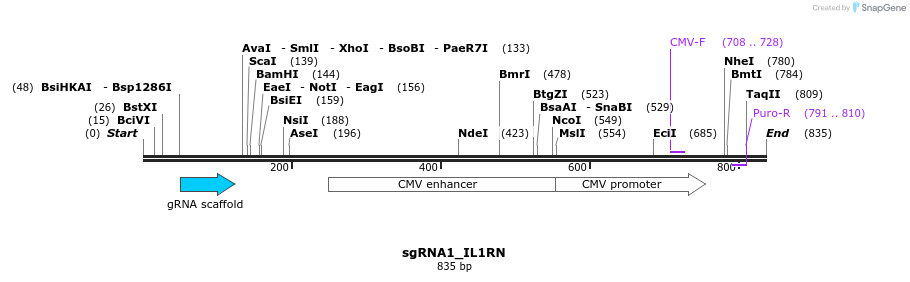 109432_map