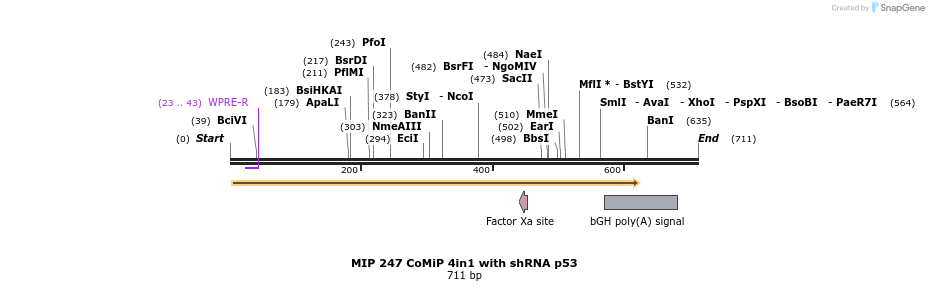 109435_map