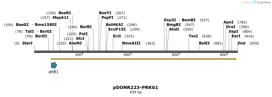 10944_map