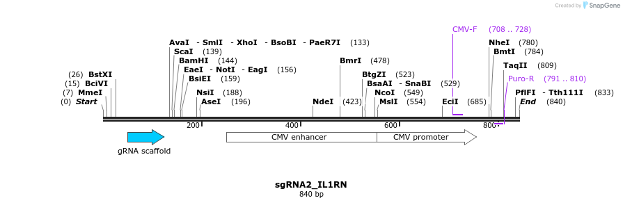 109440_map