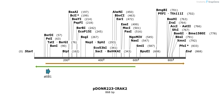 10945_map