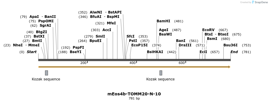 109453_map