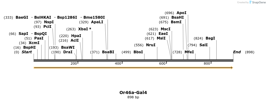 109458_map