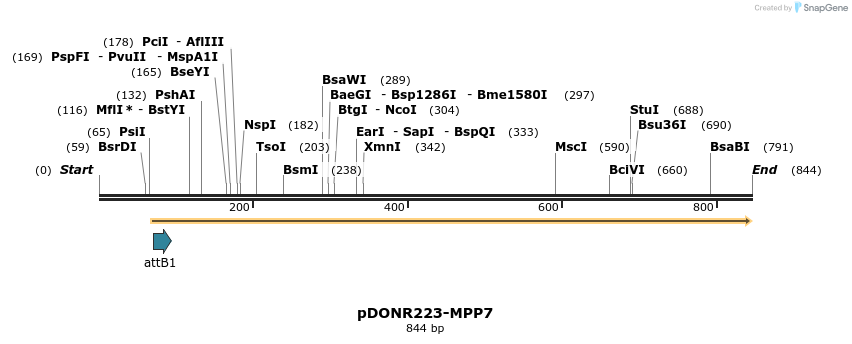 10946_map