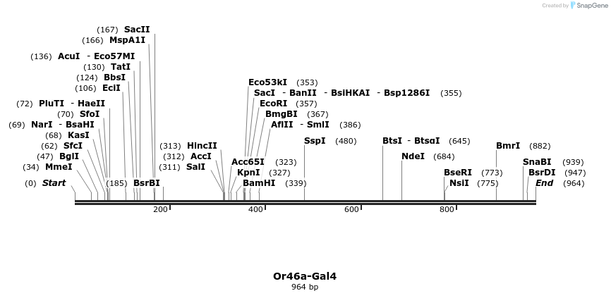 109461_map