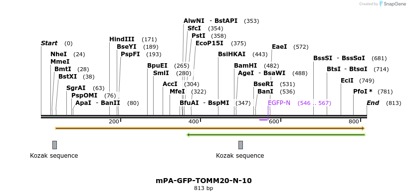 109471_map