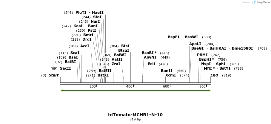 109472_map