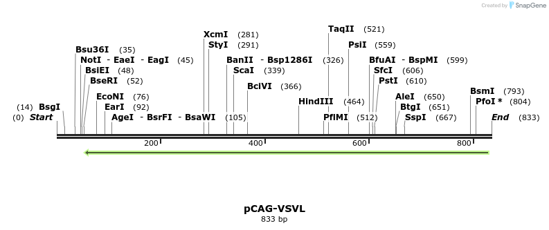109473_map
