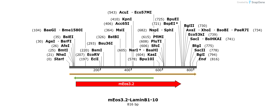 109474_map