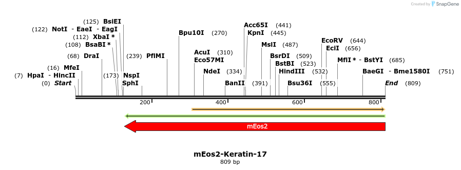 109476_map