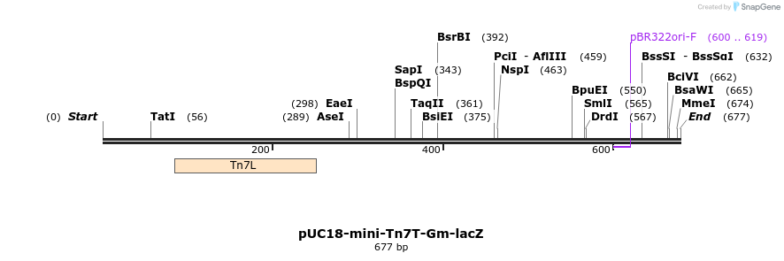 109478_map