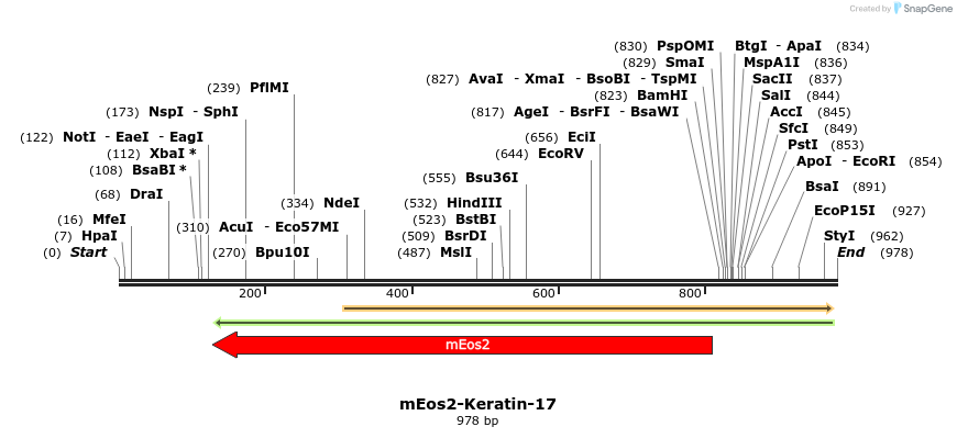 109479_map