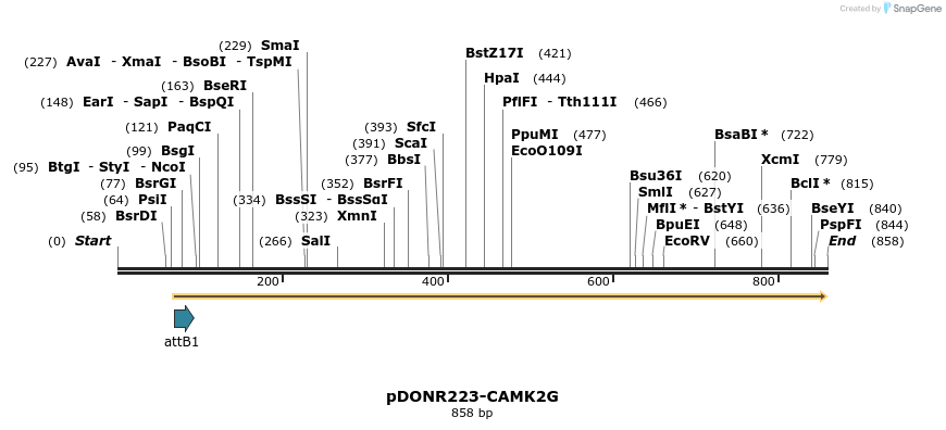 10948_map
