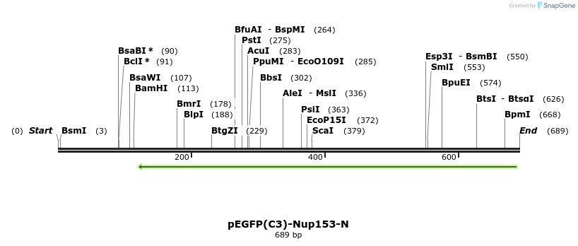 109484_map