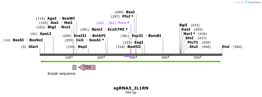 109487_map
