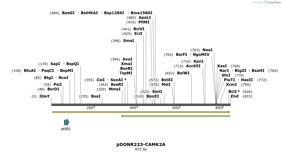 10949_map